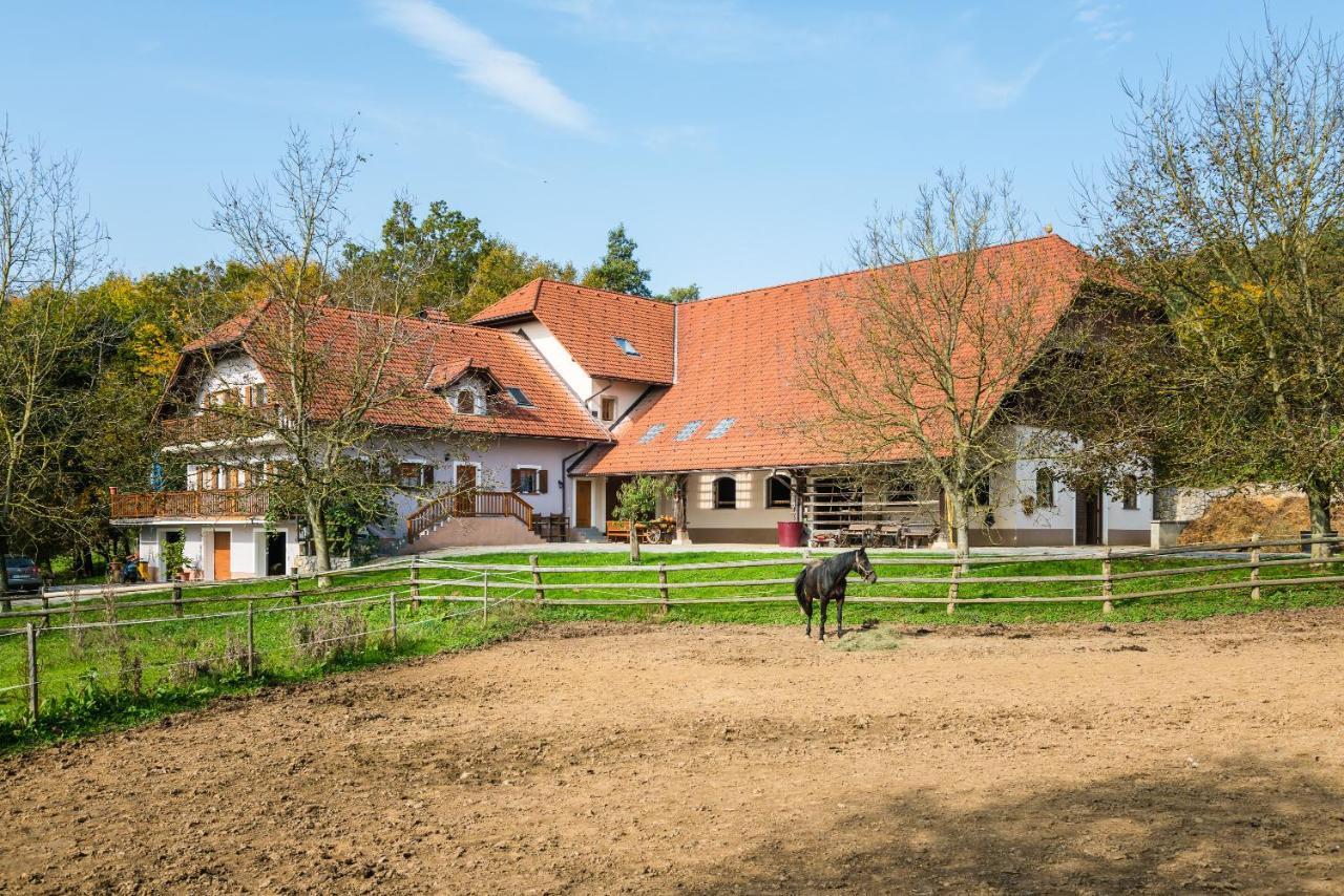 Apartment Zynga - Stud Farm Sentvid Pri Sticni ภายนอก รูปภาพ