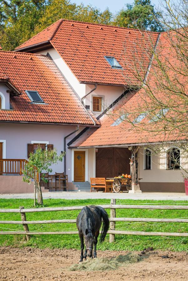 Apartment Zynga - Stud Farm Sentvid Pri Sticni ภายนอก รูปภาพ