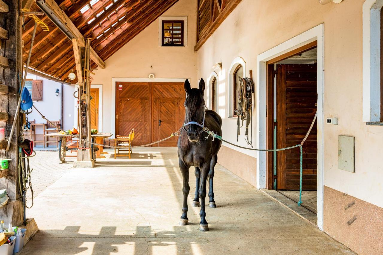 Apartment Zynga - Stud Farm Sentvid Pri Sticni ภายนอก รูปภาพ
